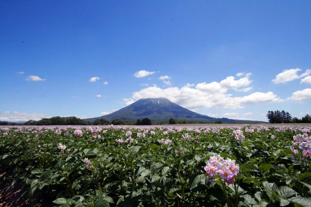 Niseko Northern Resort, An'Nupuri Hotel